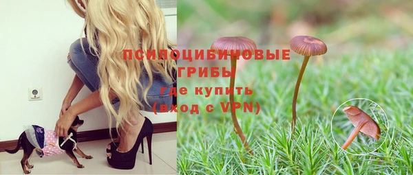 мяу мяу мука Армянск