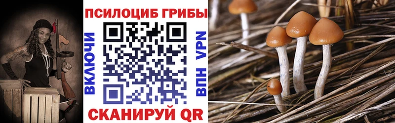 Галлюциногенные грибы мицелий  Старая Купавна 